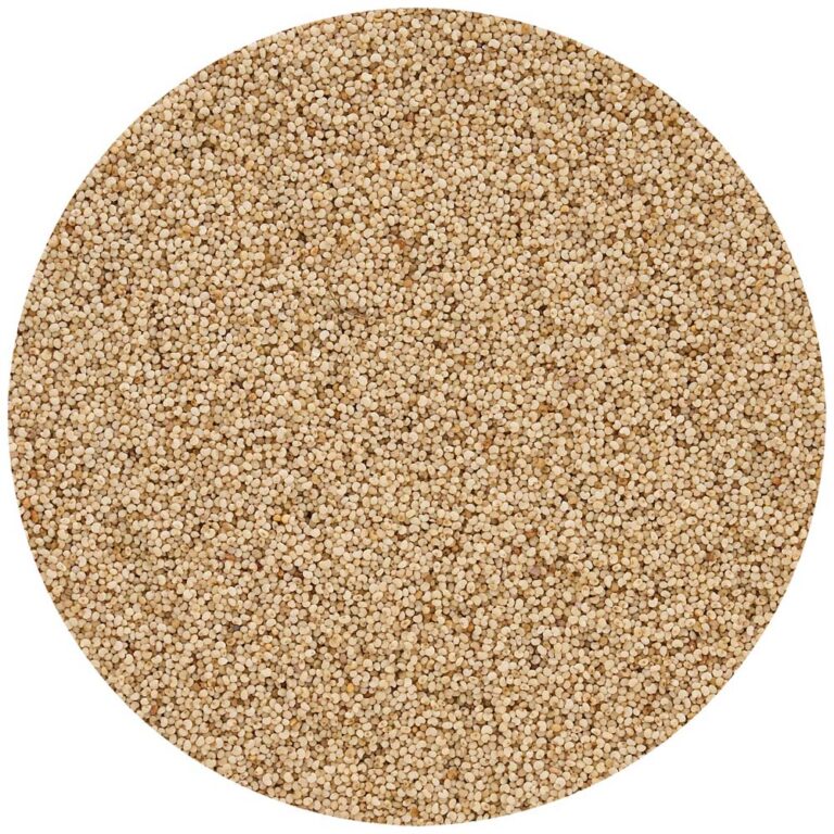 Haşhaş – Örtekslenmiş Beyaz